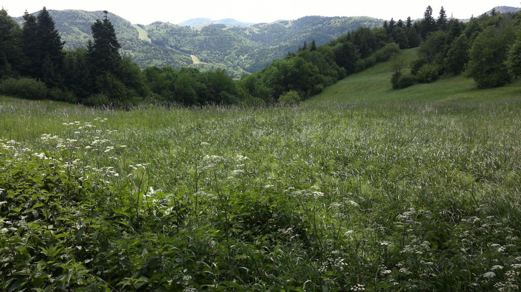 Apartmány Weissov Dom Banská Štiavnica Esterno foto